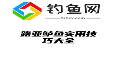 路亚鲈鱼实用技巧大全