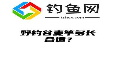 野钓谷麦竿多长合适？