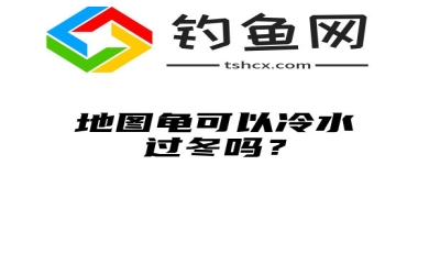 地图龟可以冷水过冬吗？