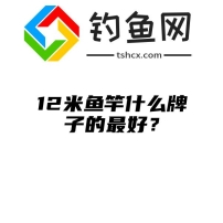 12米鱼竿什么牌子的最好？