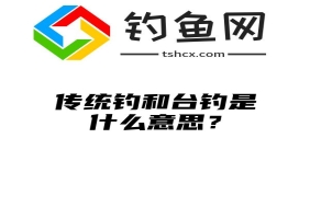 传统钓和台钓是什么意思？