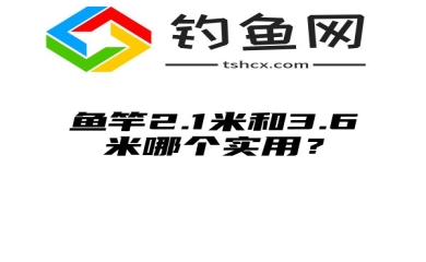 鱼竿2.1米和3.6米哪个实用？