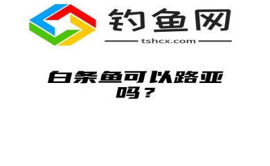 白条鱼可以路亚吗？