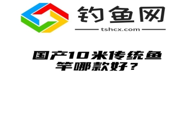 国产10米传统鱼竿哪款好？