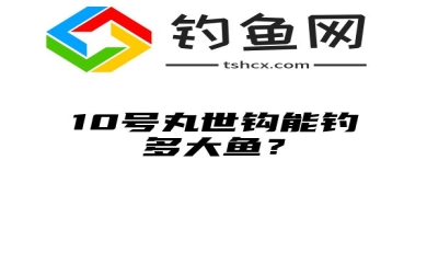 10号丸世钩能钓多大鱼？