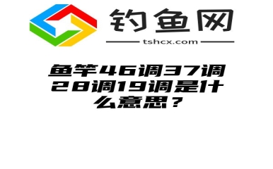 鱼竿46调37调28调19调是什么意思？