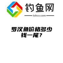 罗汉鱼价格多少钱一尾？