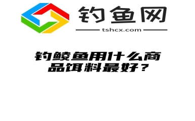 钓鲮鱼用什么商品饵料最好？