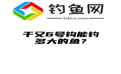 千又6号钩能钓多大的鱼？