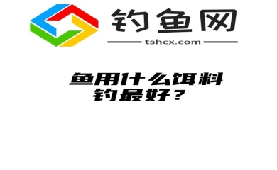 鳡鱼用什么饵料钓最好？