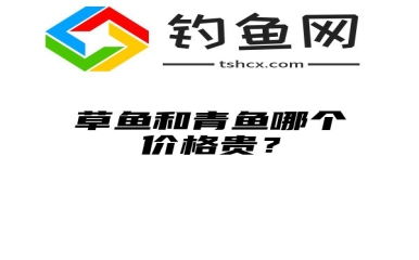 草鱼和青鱼哪个价格贵？