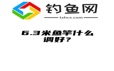 6.3米鱼竿什么调好？