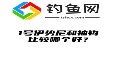 1号伊势尼和袖钩比较哪个好？