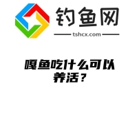 嘎鱼吃什么可以养活？