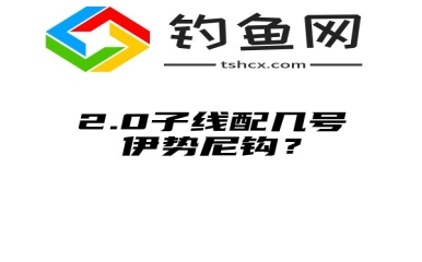 2.0子线配几号伊势尼钩？