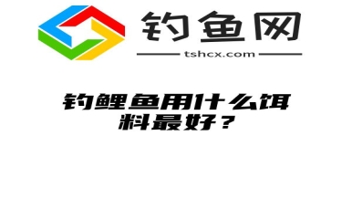 钓鲤鱼用什么饵料最好？