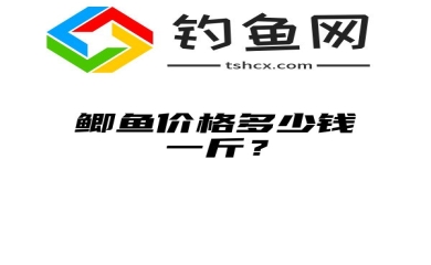 鲫鱼价格多少钱一斤？