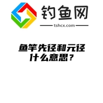 鱼竿先径和元径什么意思？