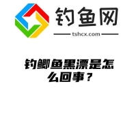 钓鲫鱼黑漂是怎么回事？