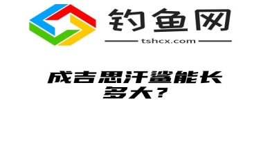 成吉思汗鲨能长多大？