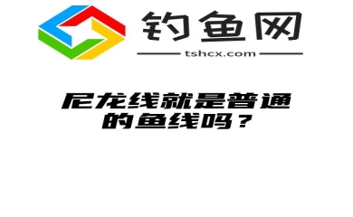 尼龙线就是普通的鱼线吗？