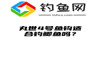 丸世4号鱼钩适合钓鲫鱼吗？