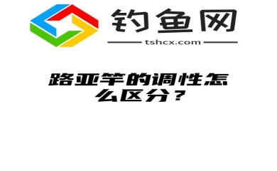 路亚竿的调性怎么区分？