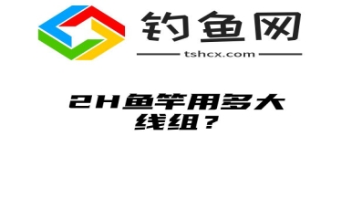 2H鱼竿用多大线组？