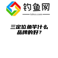 三定位鱼竿什么品牌的好？