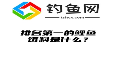 排名第一的鲤鱼饵料是什么？