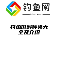 钓鱼饵料种类大全及介绍