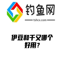 伊豆和千又哪个好用？