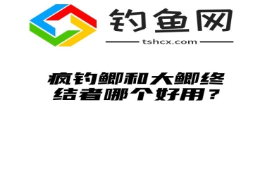 疯钓鲫和大鲫终结者哪个好用？