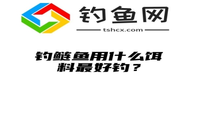 钓鲢鱼用什么饵料最好钓？