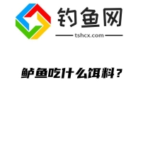 鲈鱼吃什么饵料？