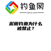 泥鳅钓鱼为什么被禁止？