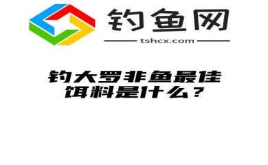 钓大罗非鱼最佳饵料是什么？