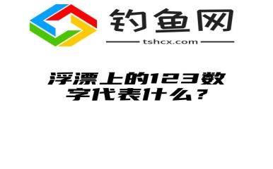 浮漂上的123数字代表什么？