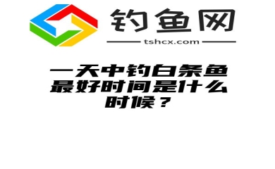 一天中钓白条鱼最好时间是什么时候？