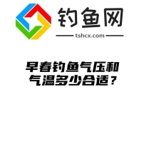 早春钓鱼气压和气温多少合适？