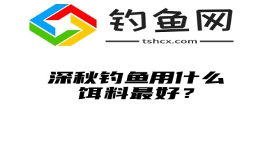 深秋钓鱼用什么饵料最好？