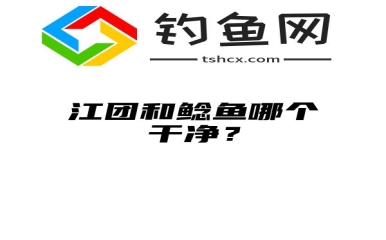 江团和鲶鱼哪个干净？