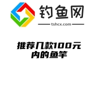 推荐几款100元内的鱼竿