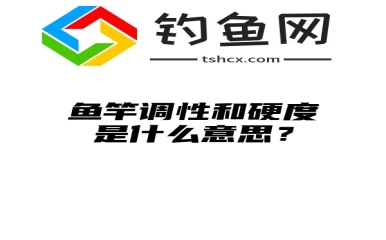 鱼竿调性和硬度是什么意思？