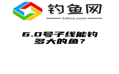 6.0号子线能钓多大的鱼？