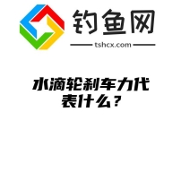 水滴轮刹车力代表什么？