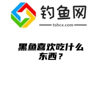 黑鱼喜欢吃什么东西？