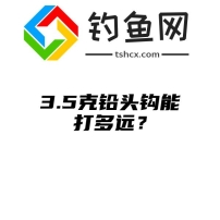 3.5克铅头钩能打多远？