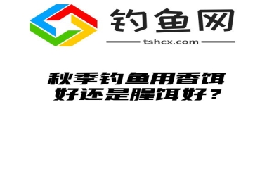 秋季钓鱼用香饵好还是腥饵好？