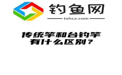 传统竿和台钓竿有什么区别？